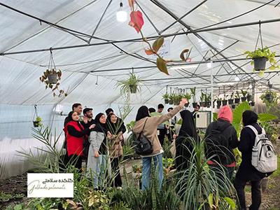 حمل و جابه‌جایی گل و گیاه: نكات تخصصی برای حفظ سلامت گیاهان شما